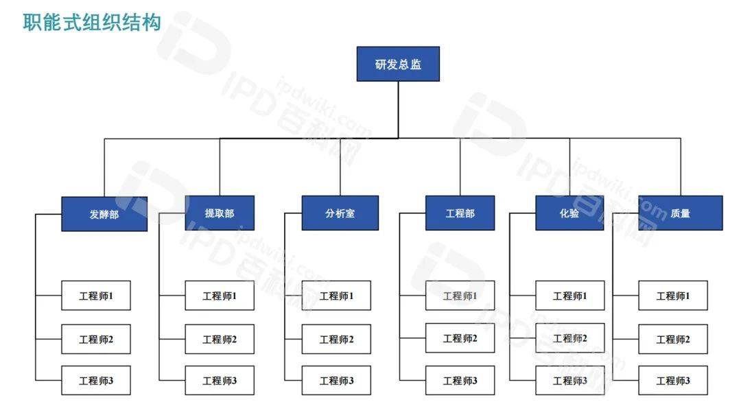 IPD推行成功的核心要素十七矩阵型组织架构设计实现多组织协同